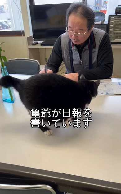 老若男女を虜にする会社猫