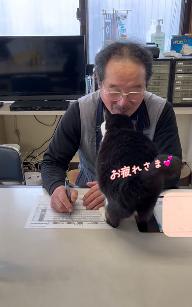 老若男女を虜にする会社猫