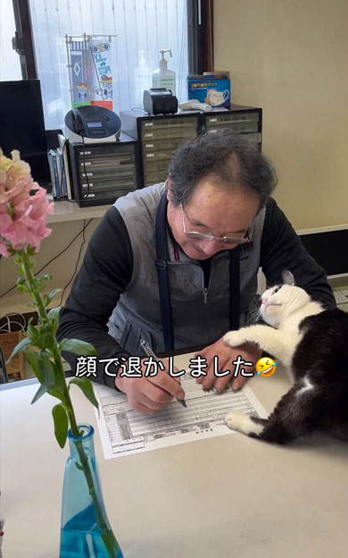 老若男女を虜にする会社猫