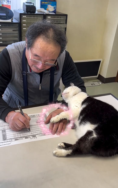 老若男女を虜にする会社猫