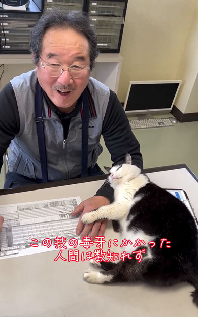 老若男女を虜にする会社猫