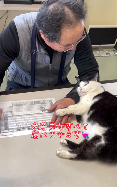 老若男女を虜にする会社猫