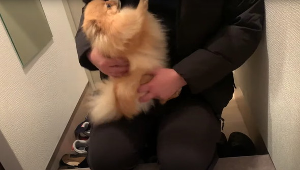 椅子の間にはさまるワンコ