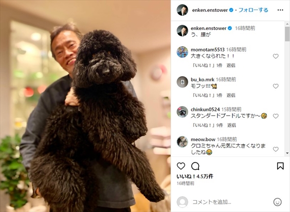 遠藤憲一が家族に迎えた保護犬のクロミちゃん