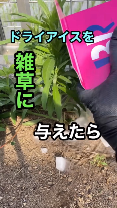 おすすめ
