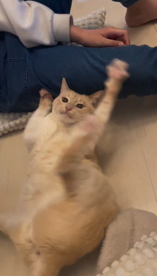 卒業