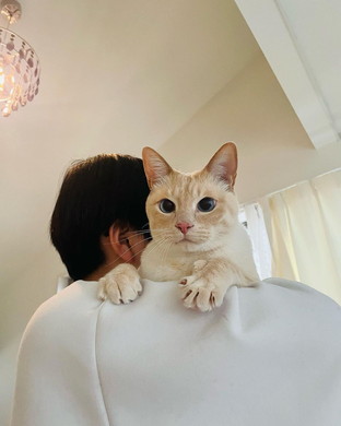 登校を妨害する猫ちゃん