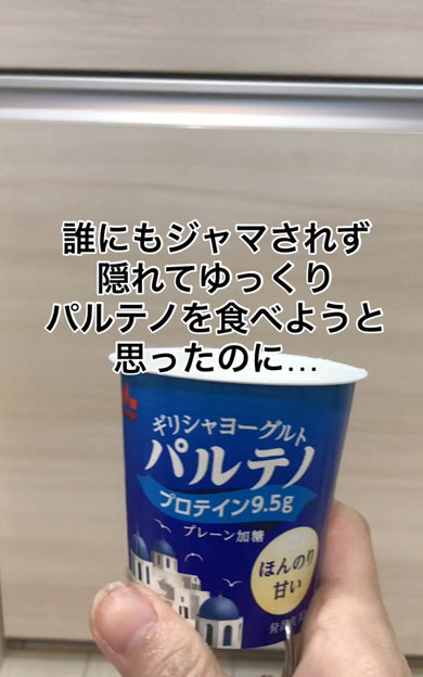 隠れてヨーグルトを食べる飼い主を見つめるワンコ