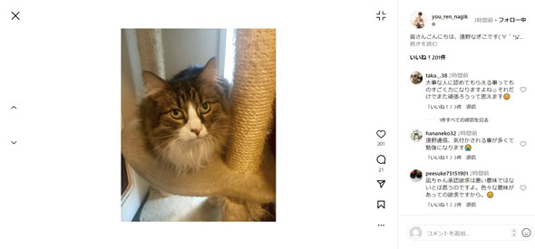 遠野なぎこInstagram