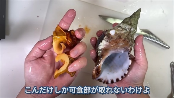 巻貝を集めて食べる