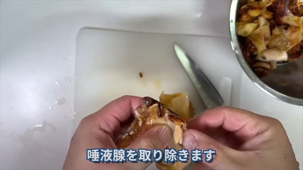 巻貝を集めて食べる