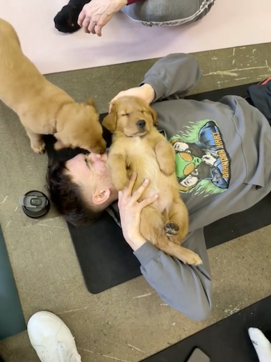 子犬から顔をなめられる男性