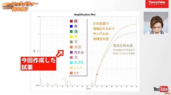 実験 ハンバーガー ファストフード