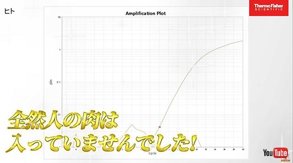 実験 ハンバーガー ファストフード