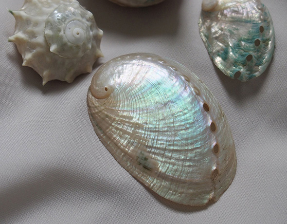 自由研究 インテリア 実験