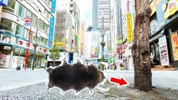 新宿歌舞伎町でクマムシ探してみた
