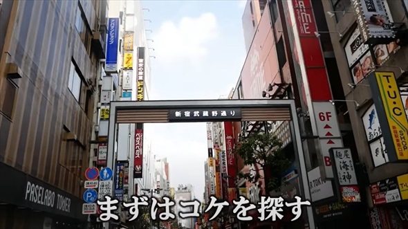 新宿歌舞伎町でクマムシ探してみた