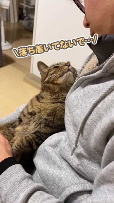 文句を言いながらも飼い主さんから離れない猫ちゃん