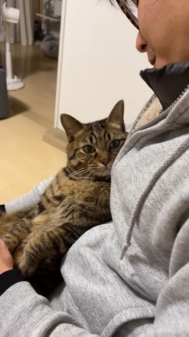 文句を言いながらも飼い主さんから離れない猫ちゃん