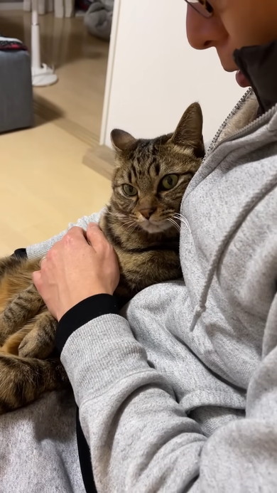 文句を言いながらも飼い主さんから離れない猫ちゃん