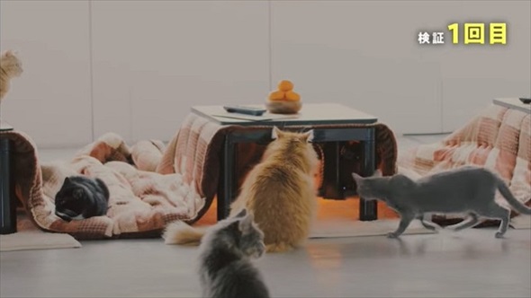 クロネコヤマトこたつ検証