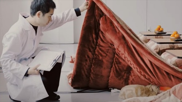 クロネコヤマトこたつ検証