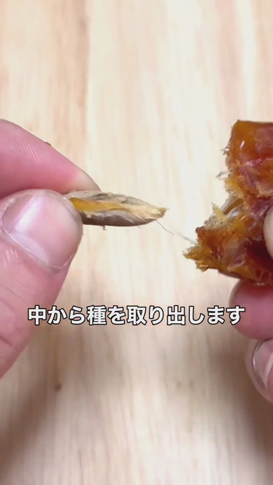 デーツからヤシの木を栽培する方法