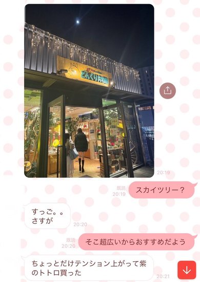 ジブリ トトロ