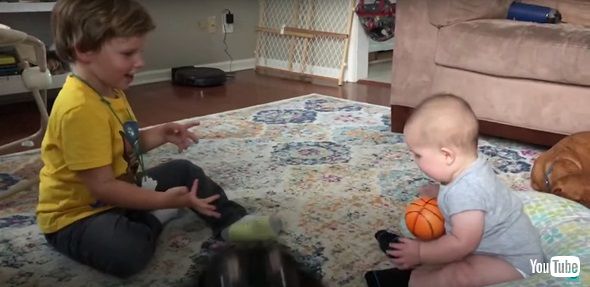 注目してほしいワンコ