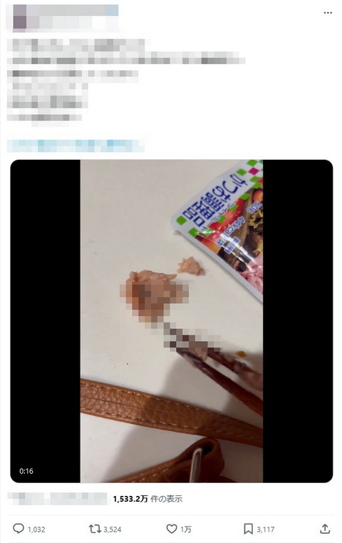 シーチキン 昆虫