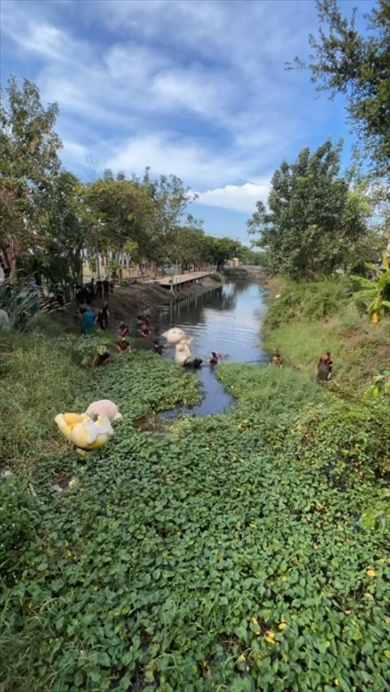 掃除　川　環境保護活動　ベトナム
