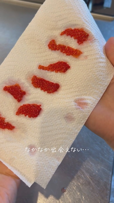 スーパーのイチゴから栽培する様子