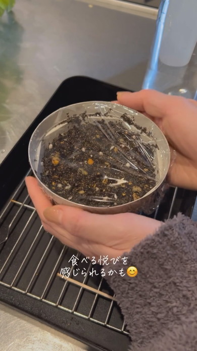 スーパーのイチゴから栽培する様子