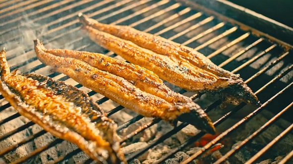 熊×熱プロジェクト