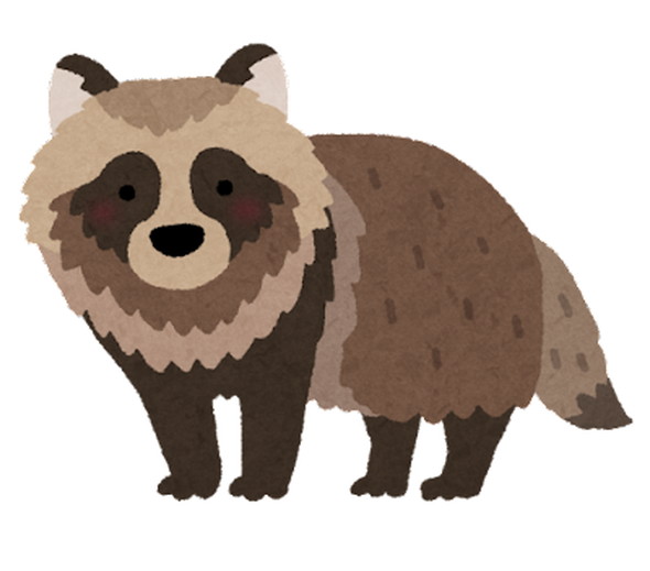 たぬきのイラスト