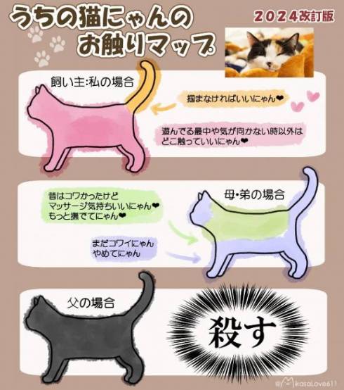 猫のお触りマップ