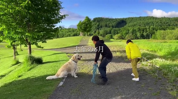 8カ月前に遊んだ人とすれちがったら犬は気付けるのか実験