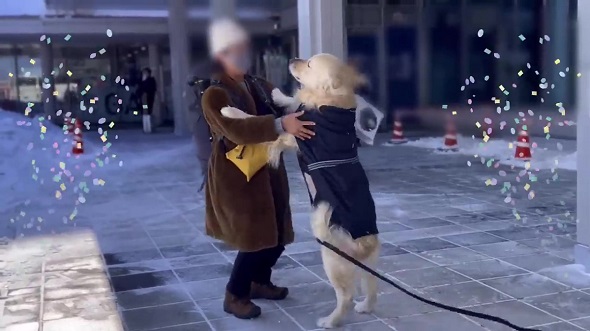 8カ月前に遊んだ人とすれちがったら犬は気付けるのか実験