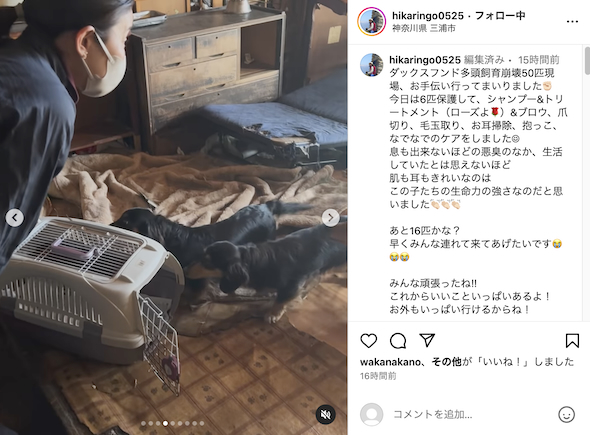 多頭飼育崩壊現場での石田ひかり