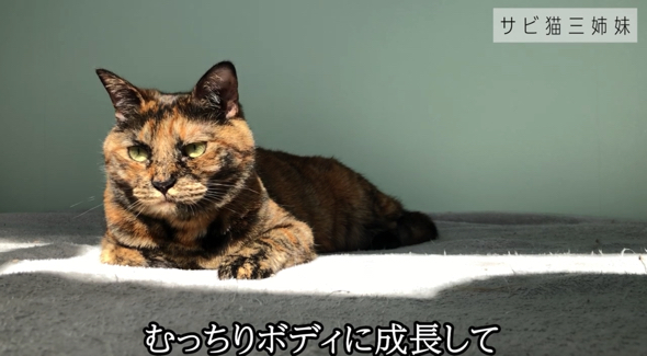 むっちりボディーの女の子に成長