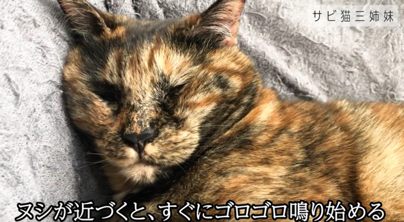 甘えん坊な性格は健在