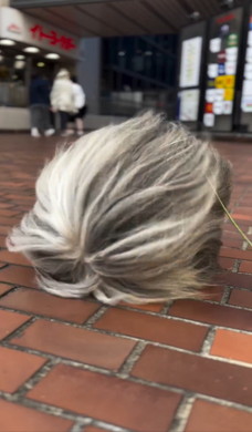 暴風に耐えてお散歩するワンコ