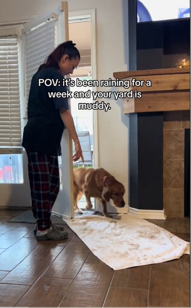 足が泥だらけの子犬