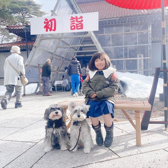 ジジトト能登半島地震