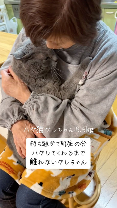 おばあちゃんから離れない猫