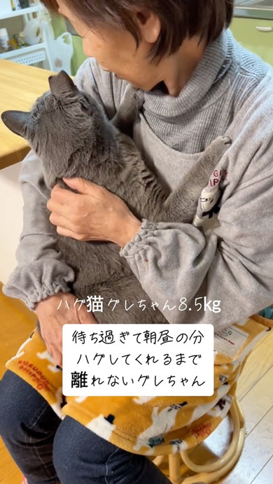 おばあちゃんから離れない猫