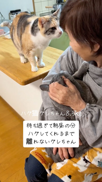 おばあちゃんから離れない猫