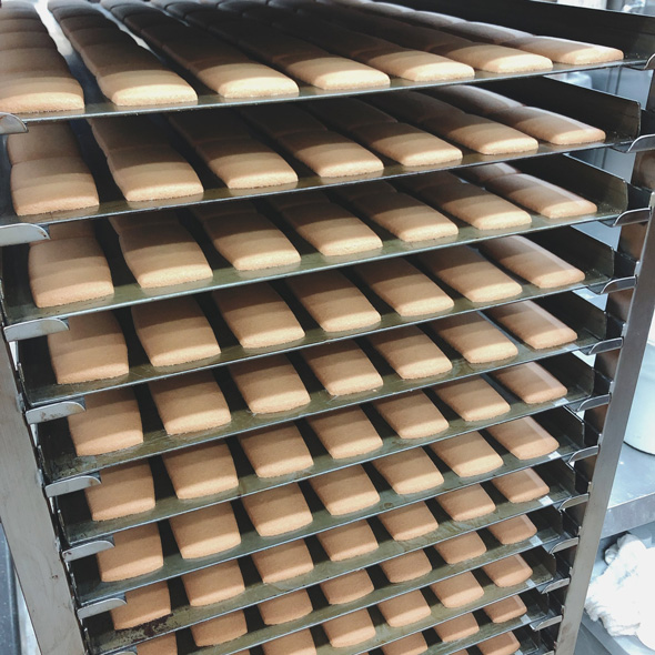 余った 天ぷら粉 活用方法 クッキー 使い切れないとき