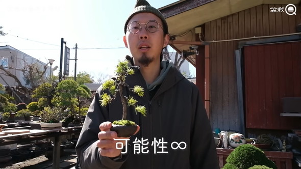 盆栽の骨組みを作る解説