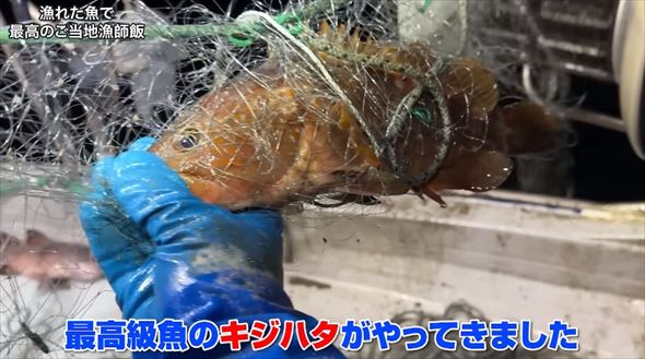 小豆島の漁師はまゆう